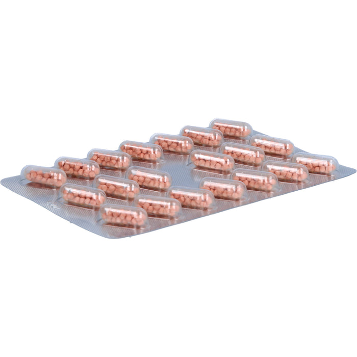 Keltican forte Kapseln zur Unterstützung der Nervenregeneration, 60 St. Kapseln