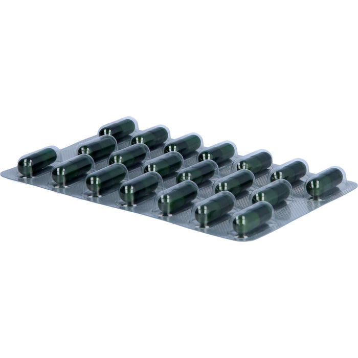 Catechin-Loges Grüntee-Kapseln, 120 St. Kapseln