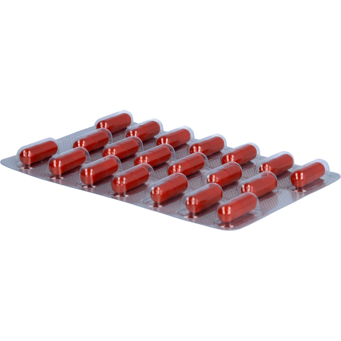 vigoLoges  Ashwagandha plus, 120 St. Kapseln