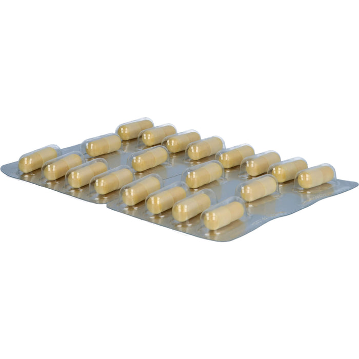 Doppelherz system Glucosamin 1000 + Curcuma vegan Kapseln für Knochen und Knorpel, 120 St. Kapseln