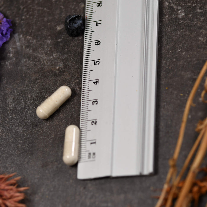 Solaray Vitamin B1 100 mg Kapseln, 100 St. Kapseln