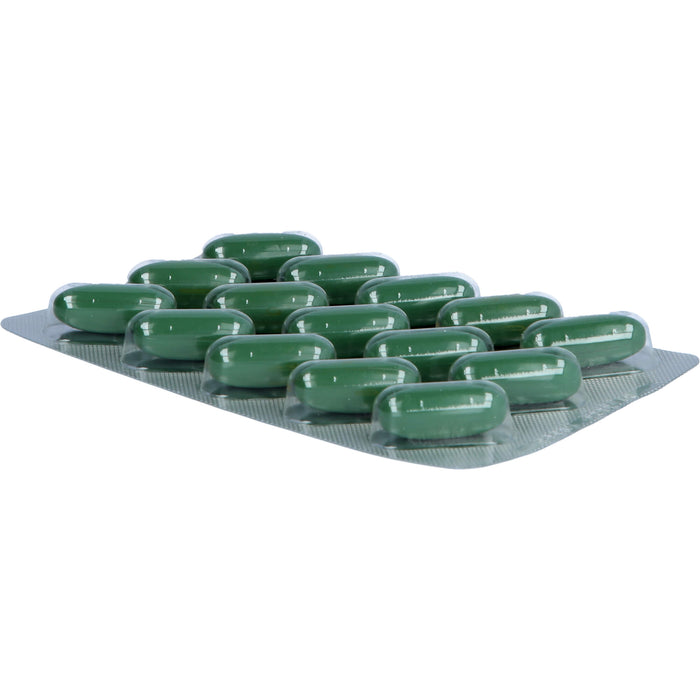 Salus Salusan Ortho Komplex-Kapseln für Knochen und Knorpel, Muskeln und Bindegewebe, 60 St. Kapseln