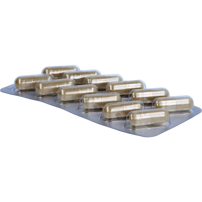 AQUILEA Relax Kapseln für innere Ruhe bei Stress, 48 St. Kapseln