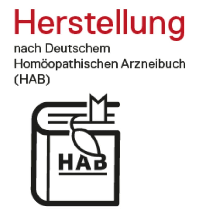 DHU Rhus toxicodendron D6, 80 St. Tabletten
