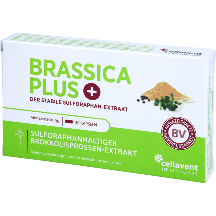 Brassica PLUS, 30 St KAP