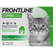 Frontline Combo Katze gegen Flöhe und Zecken, 3 St. Einzeldosisbehältnisse