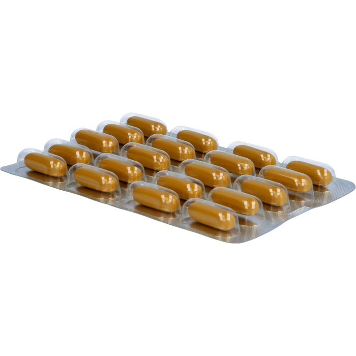Curcumin-Loges Arthro plus UC-II Kapseln, 120 St. Kapseln