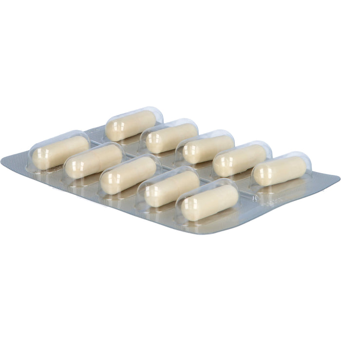 Doppelherz system MSM Glucosamin Kapseln für Knochen und Knorpel, 60 St. Kapseln