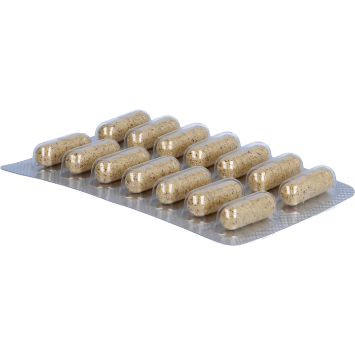 Femarelle Recharge Kapseln reguliert die hormonelle Aktivität, 56 St. Kapseln