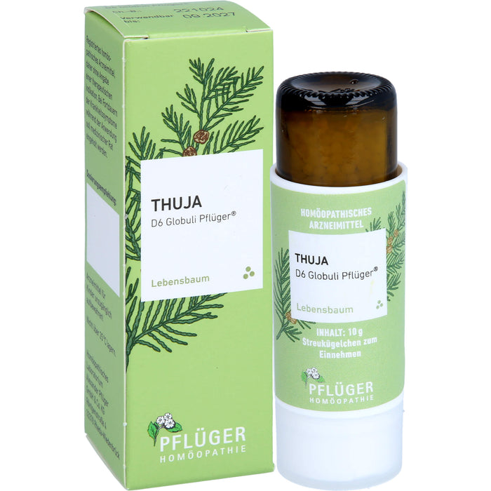 Pflüger Thuja D6 Globuli Dosierspender, 10 g Globuli