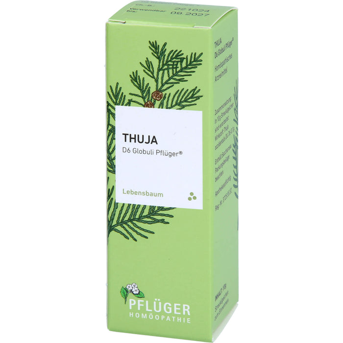 Pflüger Thuja D6 Globuli Dosierspender, 10 g Globuli