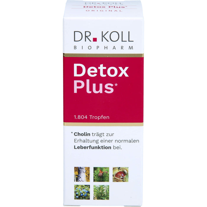 DR. KOLL Detox Plus Gemmo Komplex Cholin Tropfen, 50 ml Lösung