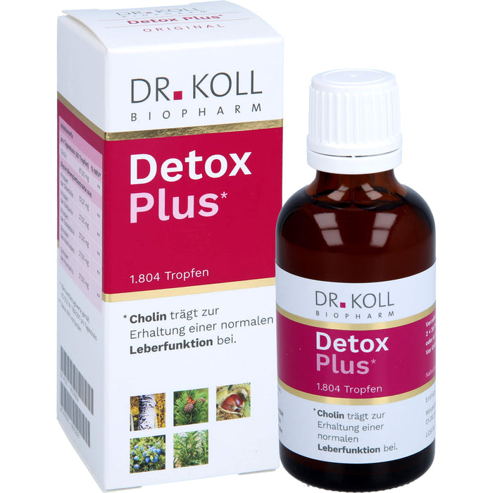 DR. KOLL Detox Plus Gemmo Komplex Cholin Tropfen, 50 ml Lösung