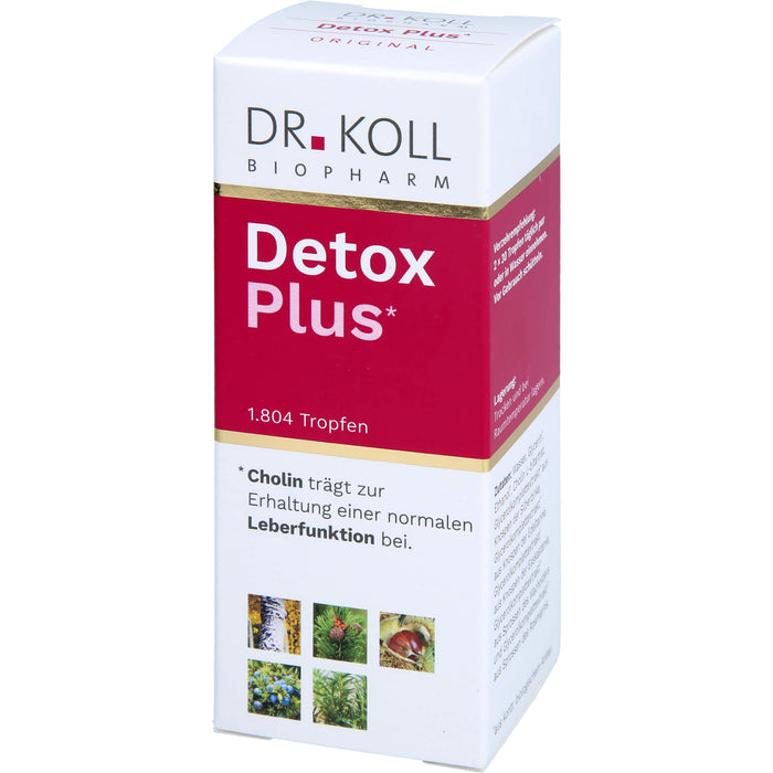 DR. KOLL Detox Plus Gemmo Komplex Cholin Tropfen, 50 ml Lösung