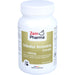 Tribulus Terrestris Extrakt 500 mg, 120 St KAP