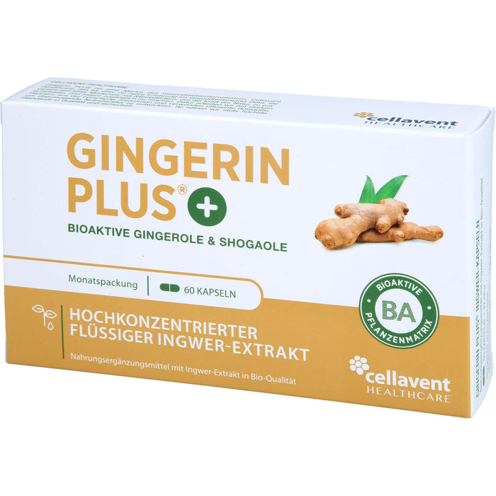 Gingerin Plus hochkonzentriertes flüssiges Ingwer-Extrakt Kapseln, 60 St. Kapseln