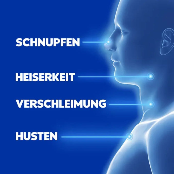WICK VapoRub Erkältungssalbe im Stick zur Linderung von Erkältungssymptomen, 35 g Creme