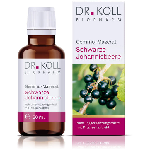 DR. KOLL Gemmo-Mazerat schwarze Johannisbeere Tropfen, 50 ml Tropfen