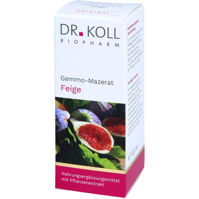 Gemmo-Mazerat Feige Dr. Koll Ficus carica, 50 ml TRO