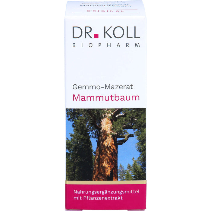 Gemmo-Mazerat Mammutbaum Dr. Koll Sequoia gigantea, 50 ml TRO