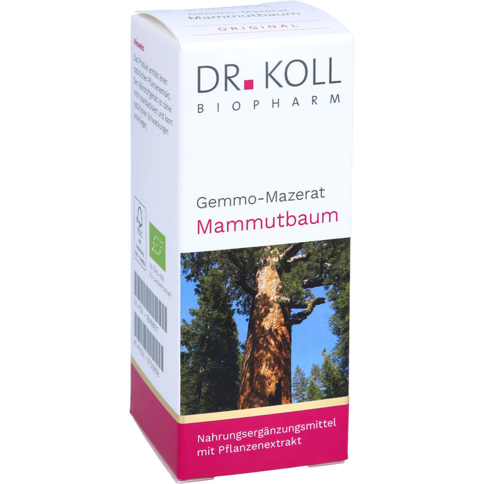 Gemmo-Mazerat Mammutbaum Dr. Koll Sequoia gigantea, 50 ml TRO