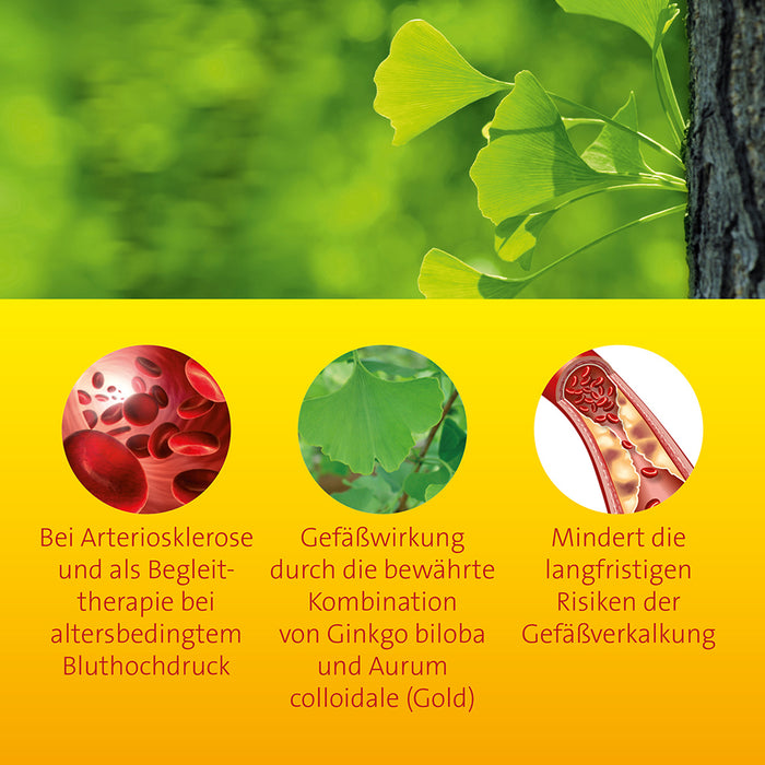 Ginkgo biloba comp. Hevert, 200 ml Lösung