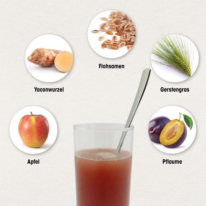 Dr. Böhm Darm aktiv, 6 St. Beutel