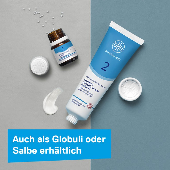 DHU Schüßler-Salz Nr. 2 Calcium phosphoricum D12, 200 St. Tabletten