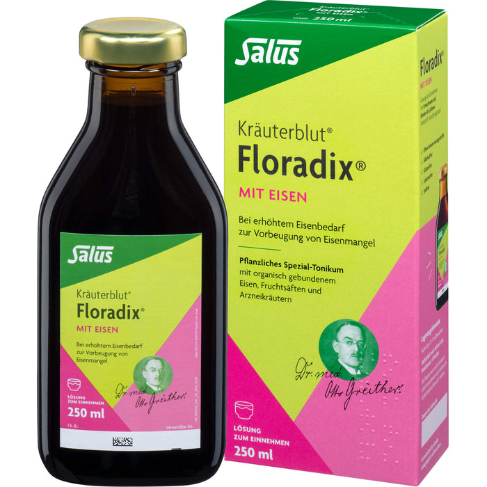 Floradix mit Eisen Lösung, 250 ml Lösung