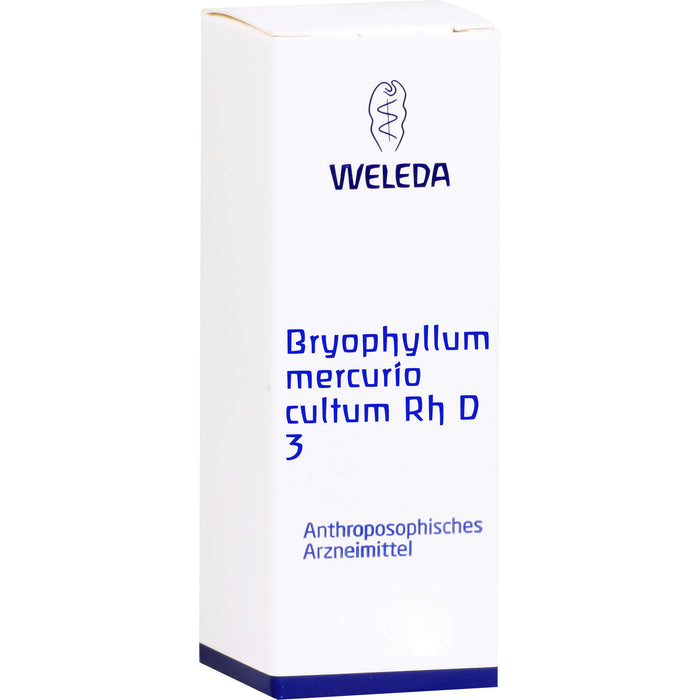WELEDA Bryophyllum Mercurio cultum Rh D3 flüssige Verdünnung, 20 ml Lösung