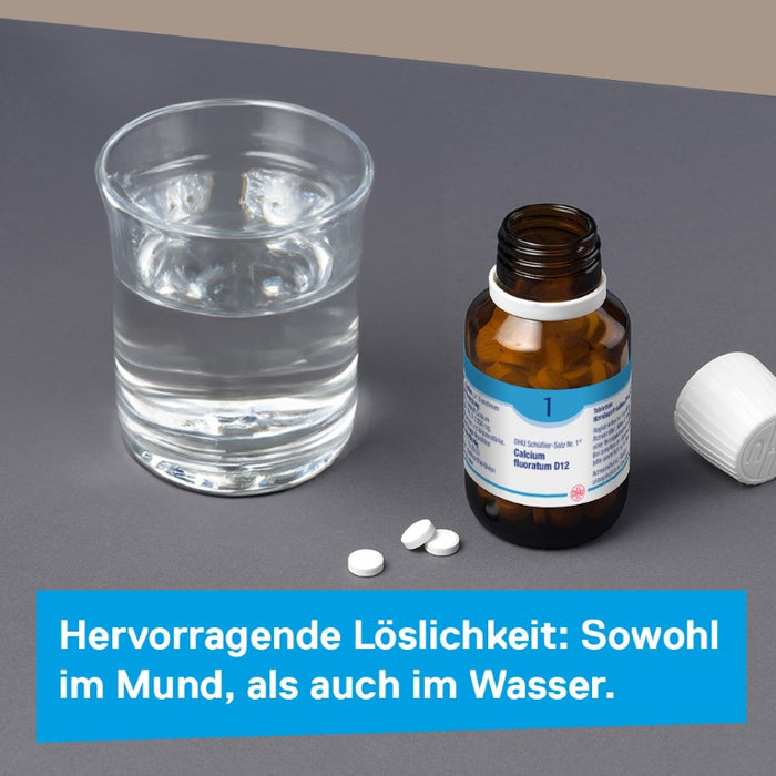 DHU Schüßler-Salz Nr. 1 Calcium fluoratum D12, 80 St. Tabletten