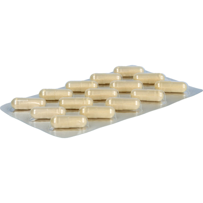 MensSana Enzyme akut Kapseln, 15 St. Kapseln