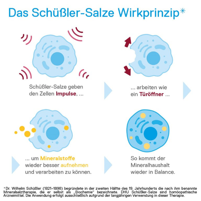 DHU Schüßler-Salz Nr. 10 Natrium sulfuricum D6, 420 St. Tabletten