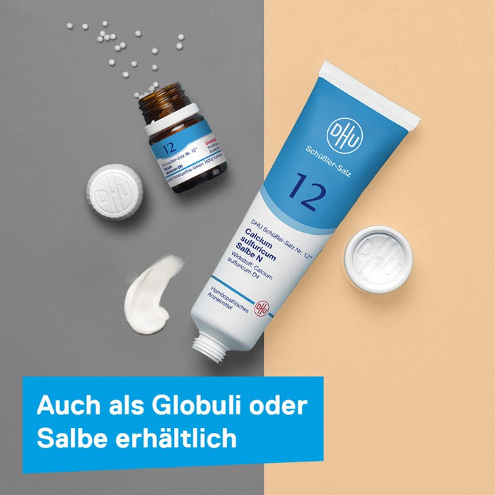 DHU Schüßler-Salz Nr. 12 Calcium sulfuricum D6, 420 St. Tabletten