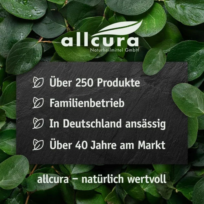Allcura Akazienfaser Pulver Bio, 199.9 g Pulver