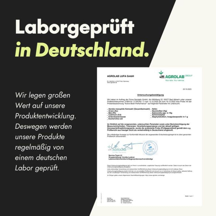 Serotalin Active Brain Performance Kapseln für Energie und Nervensystem, 60 St. Kapseln