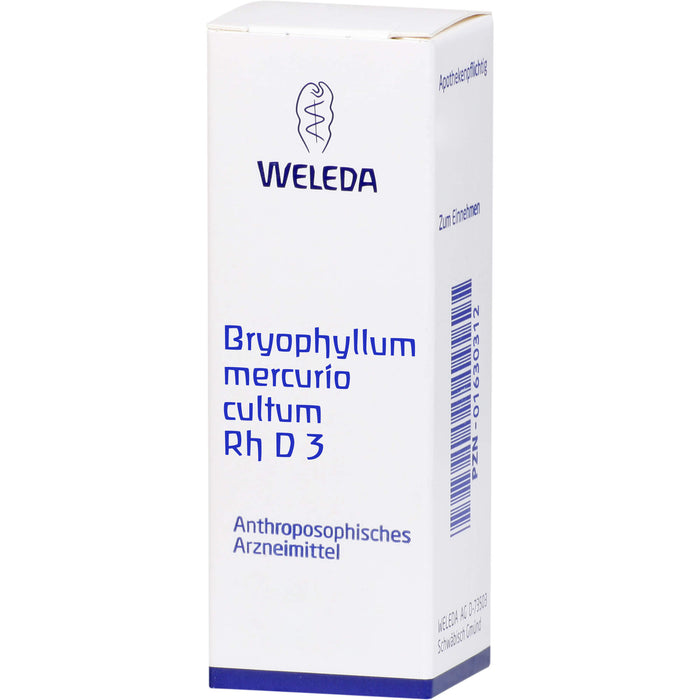 WELEDA Bryophyllum Mercurio cultum Rh D3 flüssige Verdünnung, 20 ml Lösung