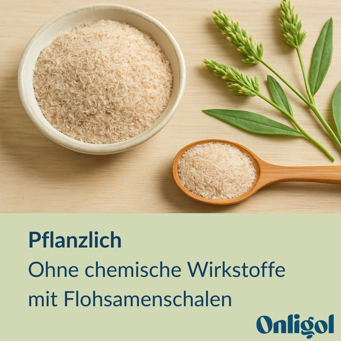 Onligol Fiber - für eine normale Verdauung und ausgewogene Ernährung mit Ballaststoffen, α-Galaktosidase & Laktase - pflanzlich & glutenfrei, 20 St. Beutel