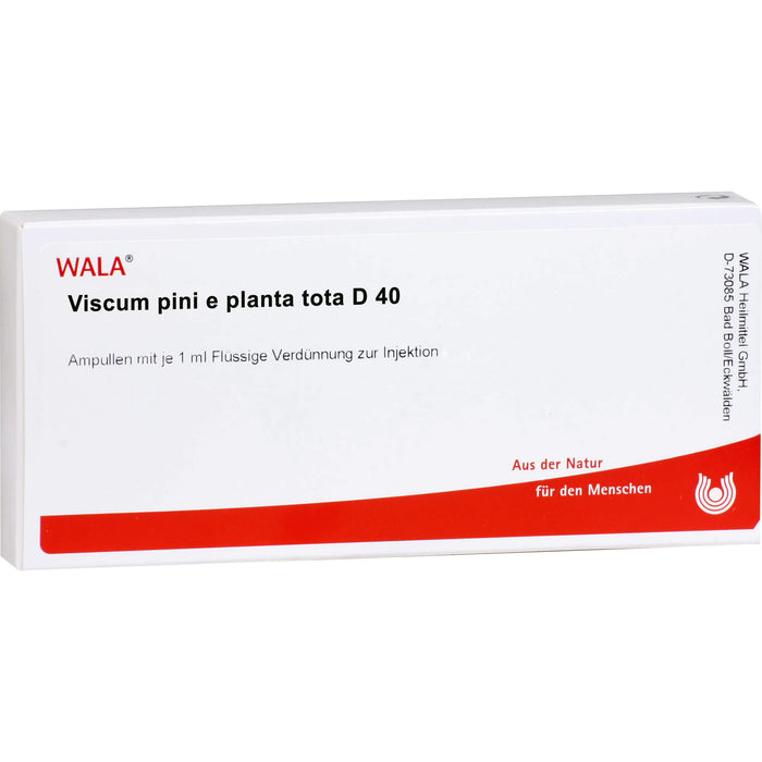 WALA Viscum Pini e planta tota D40 flüssige Verdünnung, 10 St. Ampullen