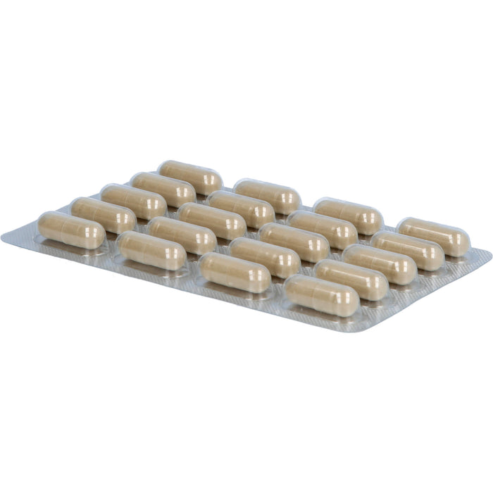 Luvos Heilerde extrafein akut säurebedingte Magenbeschwerden Kapseln, 60 St. Kapseln