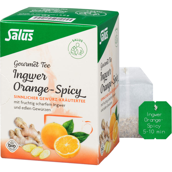 Salus Gourmet-Tee Ingwer Orange-Spicy, 15 St. Filterbeutel