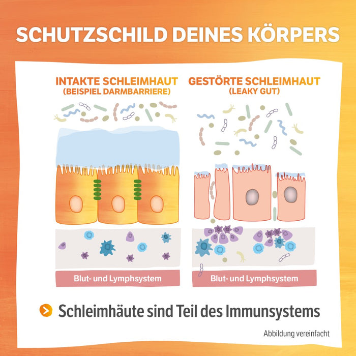 HELIXOR Sanomucin - 3-fach Unterstützung für alle Schleimhäute - Wissenschaftlich fundierte Nährstoffkombination mit Pflanzlichen Enzymen, Linsenextrakt, Vitaminen + Selen - Vegan, 60 St. Kapseln