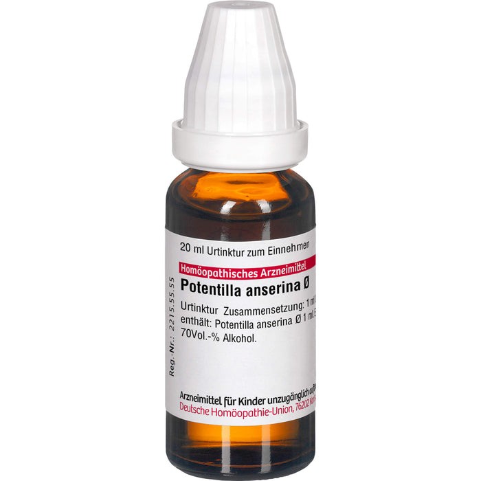 Potentilla anserina DHU Urtinktur, 20 ml Lösung