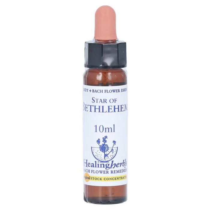 Healing herbs  Bachblüten Star of Bethlehem Tropfen, 10 ml Lösung