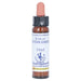 Healing herbs  Bachblüten Star of Bethlehem Tropfen, 10 ml Lösung