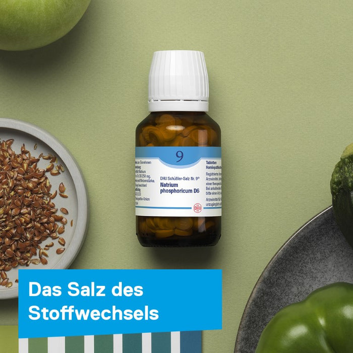 DHU Schüßler-Salz Nr. 9 Natrium phosphoricum D6, 420 St. Tabletten