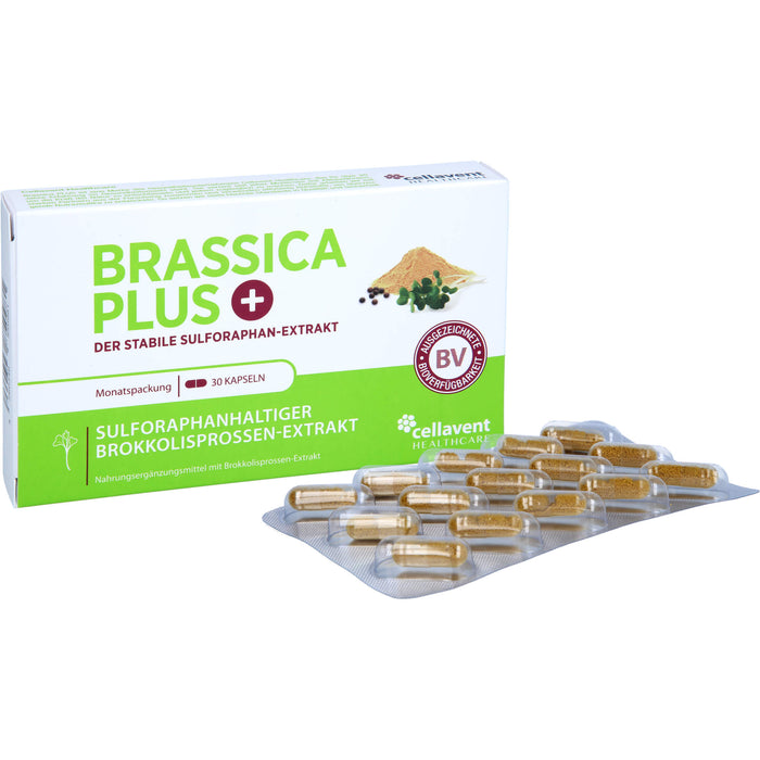 Brassica PLUS, 30 St KAP