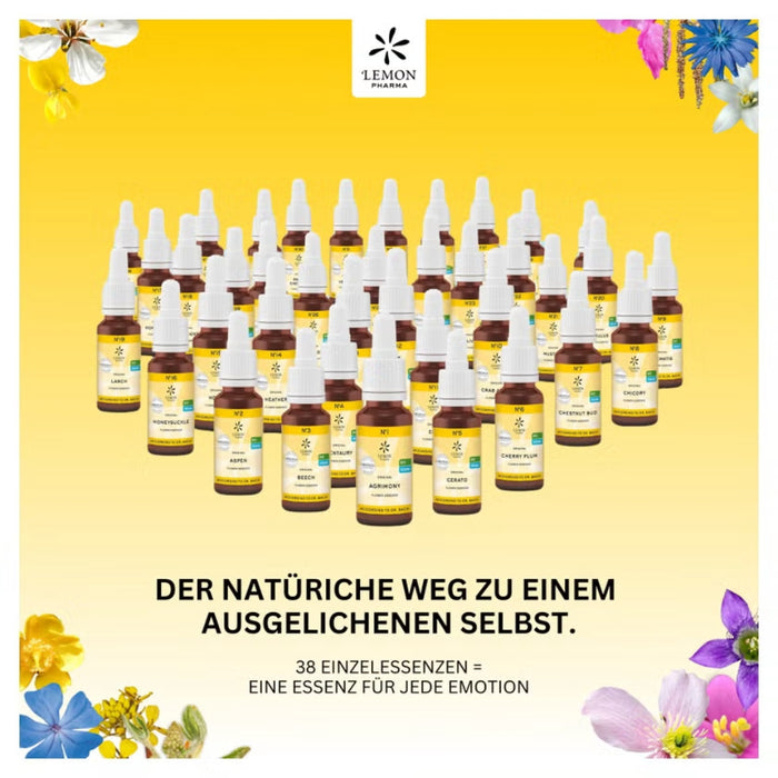 Original Bachblüten No.37 Wild Rose Bio, 20 ml Lösung