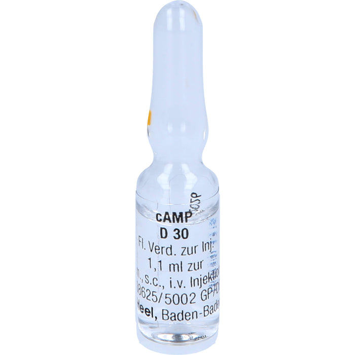 Heel cAMP D30 flüssige Verdünnung, 10 St. Ampullen