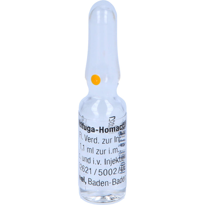 Cimicifuga-Homaccord  Inj.-Lsg., 10 St. Ampullen